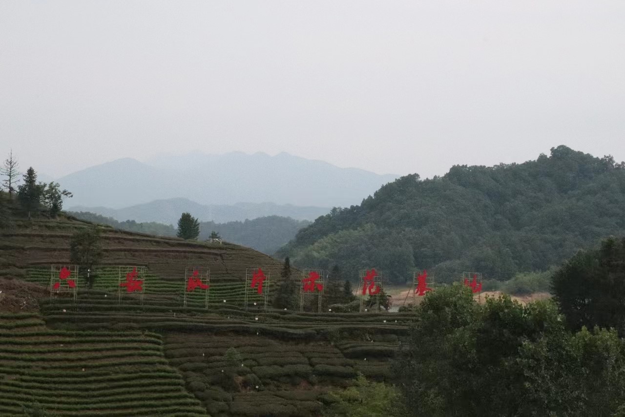 س푲Vl(xing)dƪ