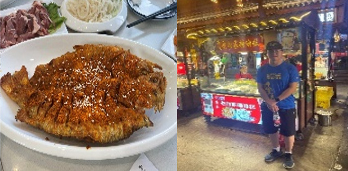 F(tun)桱Ξd
