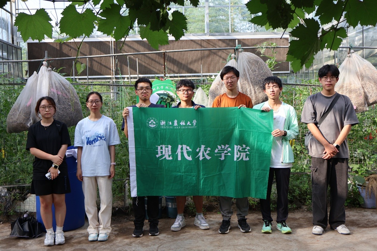 d漯;㽭r(nng)ִW(xu)W(xu)ƽɽcţ^ɽϷNֲ(sh)`o(j)(sh)